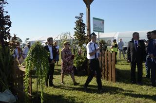 Mini eb733c5d 8de1 4c4a bfac 7f44dd5d0bad