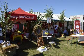 Mini 2009cdda d41b 4df1 ae0f 7d8e515699dd