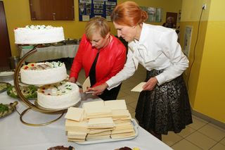 Mini 29850373 f368 4d94 943f f3bed2b9a9a1