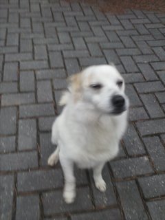 Mini 55e7bb12 57e9 42e7 87d5 0e08288a91eb