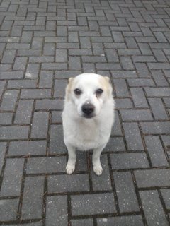 Mini 67c526d1 d9ed 454c 8a98 fff9f1fde17c