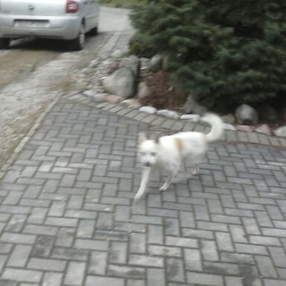 Mini 9d7bf6ec f6b9 4a64 81a8 e489b3a80f13