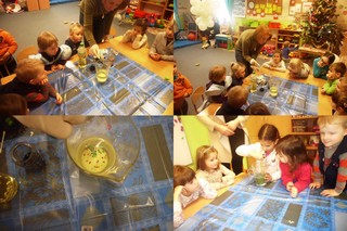 Mini b5302fdd 536d 4beb 84bf 6e0fdd94d12f