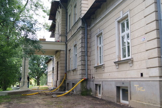 Mini 6f7c895d fdee 407b b2b7 c597bdad5791