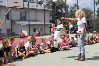 Mini 70b62349 db7e 4e78 8c65 950039250123