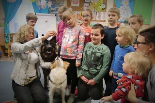 Mini b3e3ad23 ae9e 41aa bf09 30d0715f665e