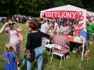 Mini 74ef8b91 a4bb 4053 875c a2903053a1ab