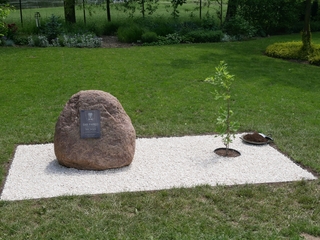 Mini 40d1abf8 c669 4bc8 91b0 ba24752ea42f