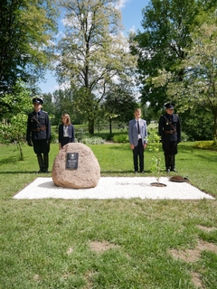 Mini b5d8a81a 53b3 4a7b 83a2 d6da76332344