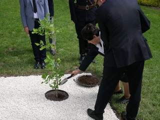 Mini dc3a81c4 8c7e 4a68 b666 40e4be13f592