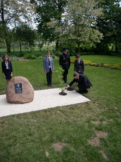 Mini db96cee0 2a84 40c2 94d1 f84c6993845b