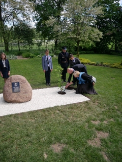 Mini eada4e12 8d96 46b3 8a68 b7ca8b86318c