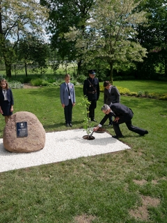 Mini 0faeb19d d863 4b60 b1e5 0fbbd0e03593