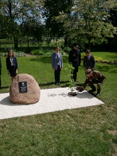 Mini f6a08ff6 68e9 4442 a16a 737c3d7e7dd8