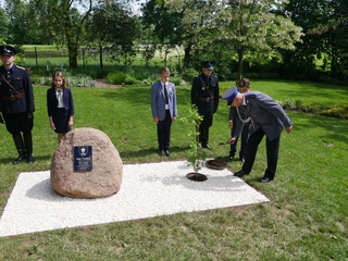 Mini e047c961 ac82 4315 ba95 03d066425ccd