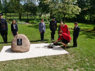 Mini 73972378 a8f6 4670 8b2c aabbc1f90eed