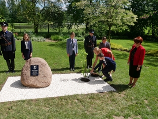 Mini 816ca7c3 dace 46aa 99ae d15e10b940ec