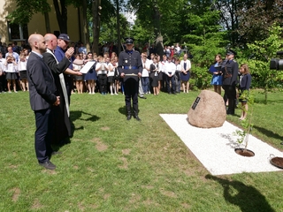 Mini e2c0fa8c 7dad 468d 9538 838423850f25