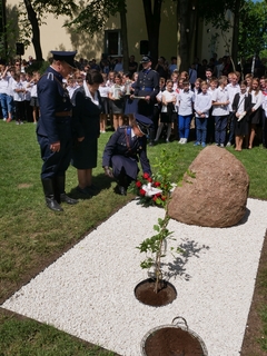 Mini a8dd3947 71a6 4f27 9341 66c6fe15a4b6