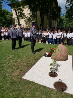 Mini 455eb067 b597 4f0f a4fb c2501362f45f