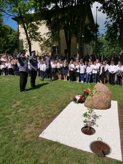 Mini 6daa2f2c 9aa2 4ad0 b552 c0c960a5b3f0