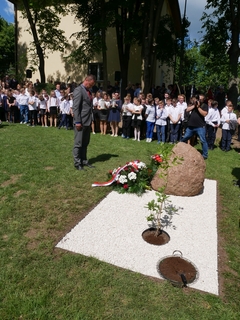 Mini 1b7340c0 1f76 4538 a396 025eb7f286ed