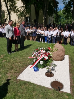 Mini 224cbb53 84bf 43cc ad30 802d99421731