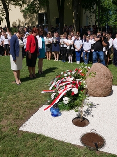 Mini ffcf3767 e2bd 4b85 9329 eb93e9ae2624