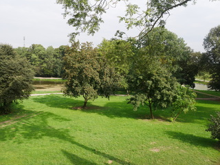 Mini a6df35c3 6d63 480e bb45 708a6197bea4