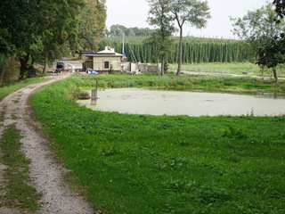 Mini 78ca0284 209c 4b4e 9ee7 b0cc435b47ee