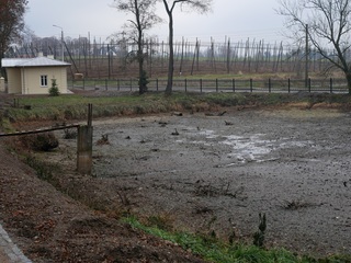 Mini 1c124412 378a 42fa 9bac 3eceeb10703e