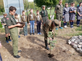 Mini a7e39131 1871 4c20 a70b c7272654b411