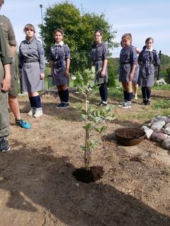 Mini 5190eb39 41b0 47ff 8dc9 73f141c572fd