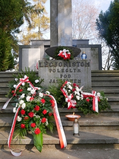 Mini 7fa7ce0b a155 4e95 932c e93ef65bfe1d