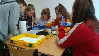 Mini 8d203d31 99e0 4e14 9076 c020d6917c02