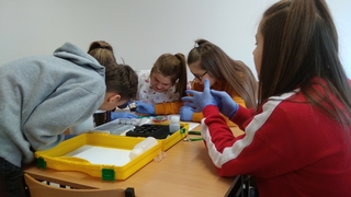 Mini 5dcf204f d79e 4325 bfe5 e760a5f67469