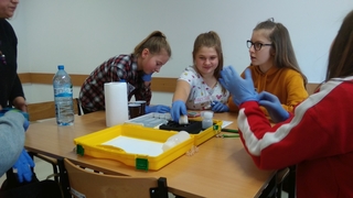 Mini 6be76fdb 3f15 498d 9687 d06d95cc2c15