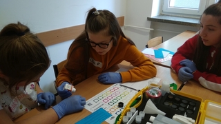 Mini bdfa5f05 3ccf 40b1 8e37 3d6543b993a2