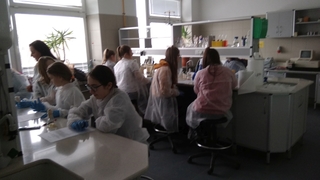 Mini 1af05659 f04a 4e70 a914 654de5cf75b8