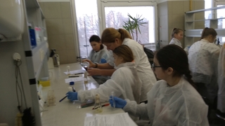 Mini ebc0a53b dbd4 487c bcaf 36b260cdb13a