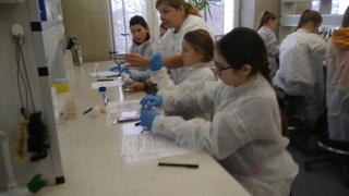 Mini 56000bb5 60cf 4a3f 934d 22361963a128