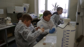 Mini f3dc65c9 a8e7 46b1 a3c5 dcf949777fc5