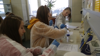 Mini 8ad6f9bd dea1 4fd4 8d30 44a555407a91