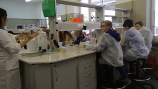 Mini 99812ab4 c18d 4624 90b4 505b4e88e50e