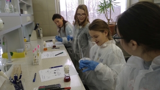 Mini 1651cd33 6a41 4281 bc9c 9d4da044849e