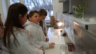 Mini 6352532a cd08 480e 98cd 14831eb98744