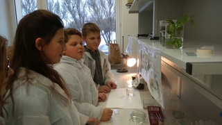 Mini 58a98a6e 96f9 4b5b 957e 847721e1d97f