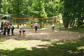 Mini c8db196c ed33 4460 b404 f15a07b4410f