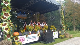 Mini fb83c8c2 1381 4196 a78b 12e3de4bbb5f