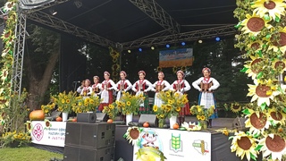 Mini 22002c9a edef 401e 90eb d033b36c0f5a